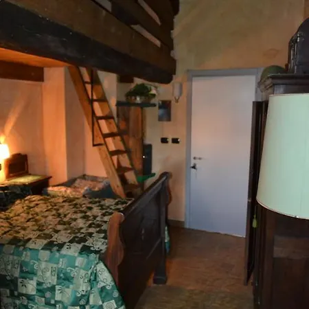 Edera 4*