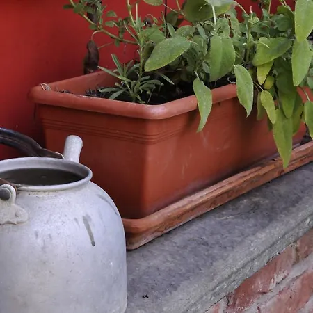 Edera Bed & Breakfast 4*