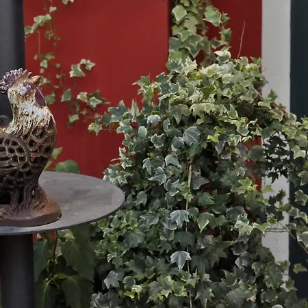 Edera Bed & Breakfast